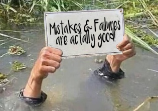 Mistakes &amp; Failures